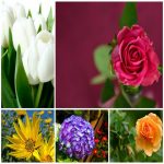 Dịch vụ đăng ký bảo hộ nhãn hiệu tại Huyện Củ Chi 6 Cần đăng ký bảo hộ nhãn hiệu tại Huyện Củ Chi
