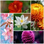 Dịch vụ đăng ký bảo hộ nhãn hiệu tại Quận 2 6 Cần đăng ký bảo hộ nhãn hiệu tại Quận 2
