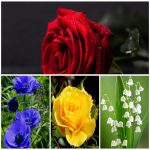 Dịch vụ đăng ký bảo hộ nhãn hiệu tại Quận Phú Nhuận 6 Cần đăng ký bảo hộ nhãn hiệu tại Quận Phú Nhuận