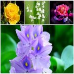 Dịch vụ đăng ký bảo hộ nhãn hiệu tại Thành Phố Hồ Chí Minh 6 Cần đăng ký bảo hộ nhãn hiệu tại Thành Phố Hồ Chí Minh