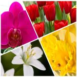Dịch vụ làm phiếu lý lịch tư pháp trọn gói trên toàn quốc 6 Đăng ký làm phiếu lý lịch tư pháp trọn gói trên toàn quốc