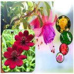 Hồ sơ đăng ký kinh doanh tại Quận 5 cần những gì? 3 Đăng ký kinh doanh tại Quận 5