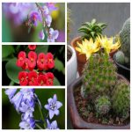 Quy định sử dụng hóa đơn điện tử 14 Quy định sử dụng hóa đơn điện tử