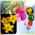 Cần tạm ngừng kinh doanh tại Quận Long Biên 6 Cần tạm ngừng kinh doanh Quận Long Biên