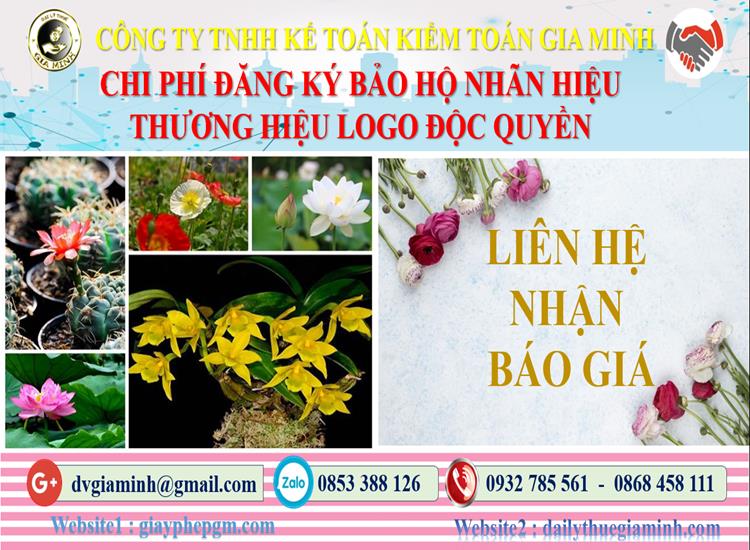 Bảng giá đăng ký bảo hộ nhãn hiệu thương hiệu logo độc quyền Phú Quốc
