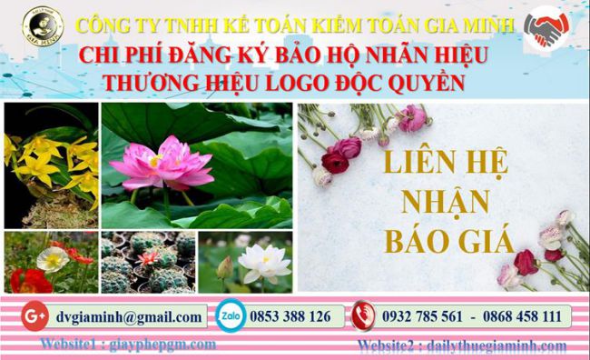 Bảng giá đăng ký bảo hộ nhãn hiệu thương hiệu logo độc quyền Thành Phố Hải Phòng