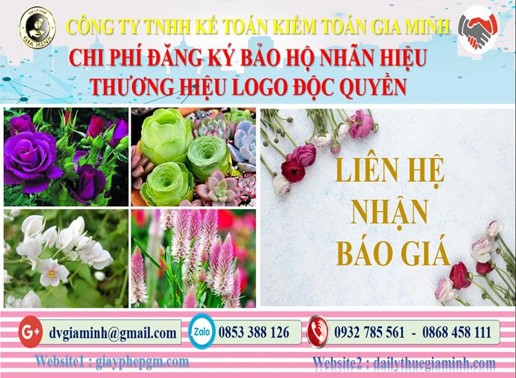 Bảng giá đăng ký bảo hộ nhãn hiệu thương hiệu logo độc quyền Vũng Tàu