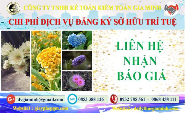 Dịch vụ đăng ký sở hữu trí tuệ tại Bình Định 5 Chi phí đăng ký sở hữu trí tuệ tại Bình Định