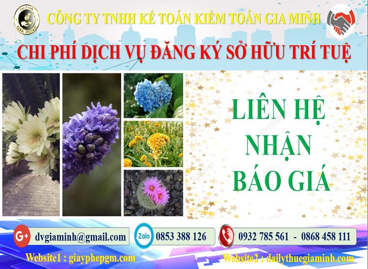 Dịch vụ đăng ký sở hữu trí tuệ tại Bình Dương 5 Chi phí đăng ký sở hữu trí tuệ tại Bình Dương