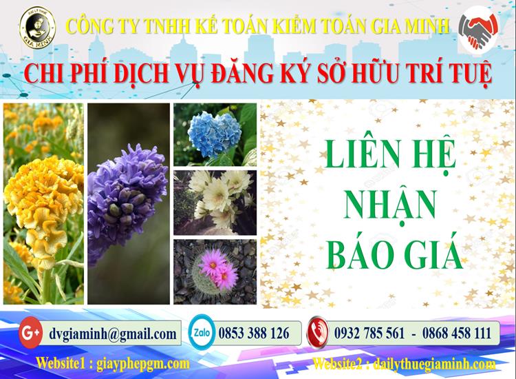 Dịch vụ đăng ký sở hữu trí tuệ tại Bình Phước 5 Chi phí đăng ký sở hữu trí tuệ tại Bình Phước