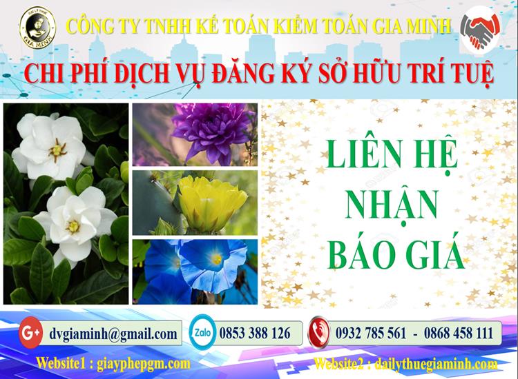 Dịch vụ đăng ký sở hữu trí tuệ tại Đà Nẵng 5 Chi phí đăng ký sở hữu trí tuệ tại Đà Nẵng