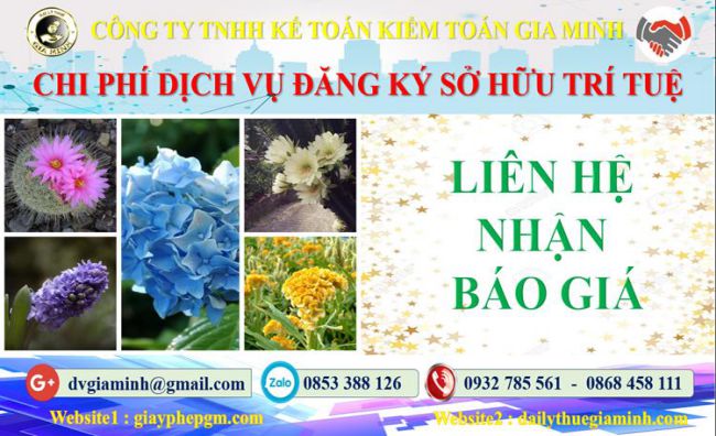 Dịch vụ đăng ký sở hữu trí tuệ tại Huyện Cần Giờ 5 Chi phí đăng ký sở hữu trí tuệ tại Huyện Cần Giờ
