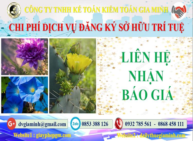 Dịch vụ đăng ký sở hữu trí tuệ tại Nam Định 5 Chi phí đăng ký sở hữu trí tuệ tại Nam Định