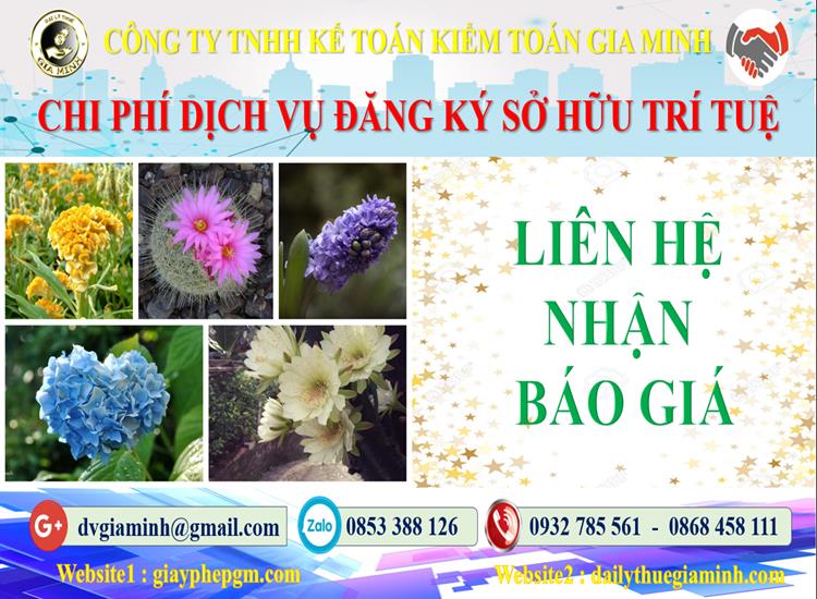 Dịch vụ đăng ký sở hữu trí tuệ tại Quận 12 5 Chi phí đăng ký sở hữu trí tuệ tại Quận 12