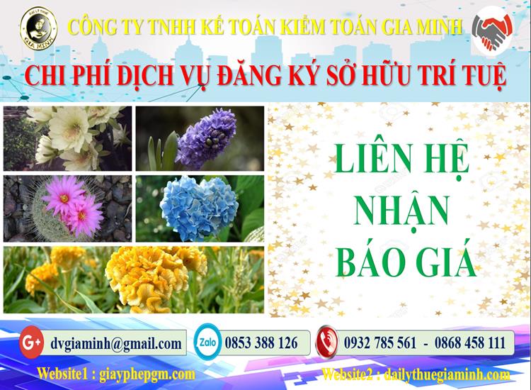 Chi phí đăng ký sở hữu trí tuệ tại Quận Hoàng Mai