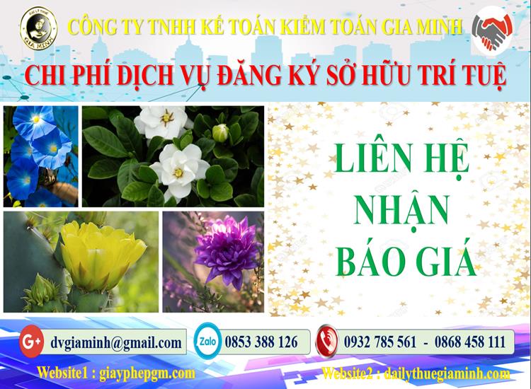 Chi phí đăng ký sở hữu trí tuệ tại Thành Phố Hải Phòng