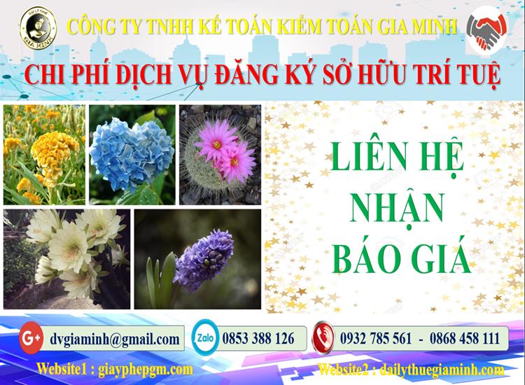 Dịch vụ đăng ký sở hữu trí tuệ tại Thành Phố Hồ Chí Minh 5 Chi phí đăng ký sở hữu trí tuệ tại Thành Phố Hồ Chí Minh