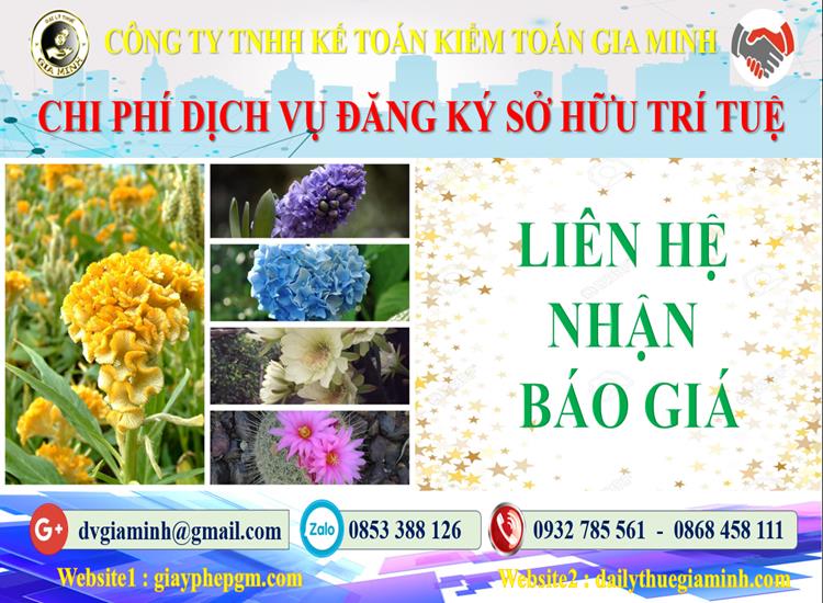 Dịch vụ đăng ký sở hữu trí tuệ tại Thừa Thiên Huế 5 Chi phí đăng ký sở hữu trí tuệ tại Thừa Thiên Huế