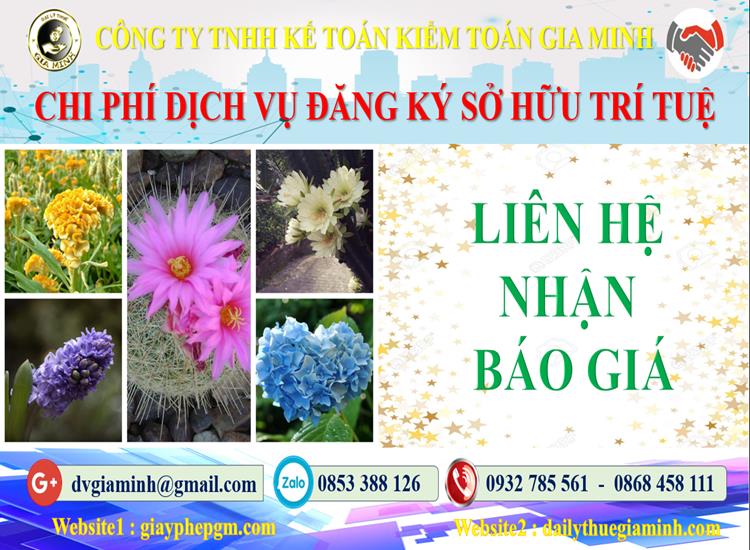 Dịch vụ đăng ký sở hữu trí tuệ tại TPHCM 5 Chi phí đăng ký sở hữu trí tuệ tại TPHCM