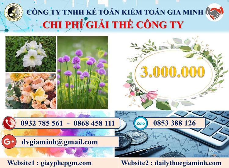 Chi phí giải thể công ty tại Cần Thơ