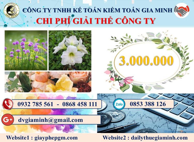 Dịch vụ giải thể công ty tại Huyện Thới Lai trọn gói uy tín 9 Chi phí giải thể công ty tại Huyện Thới Lai