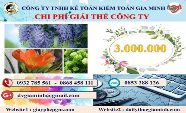 Chi phí giải thể công ty tại Quận Bình Thủy
