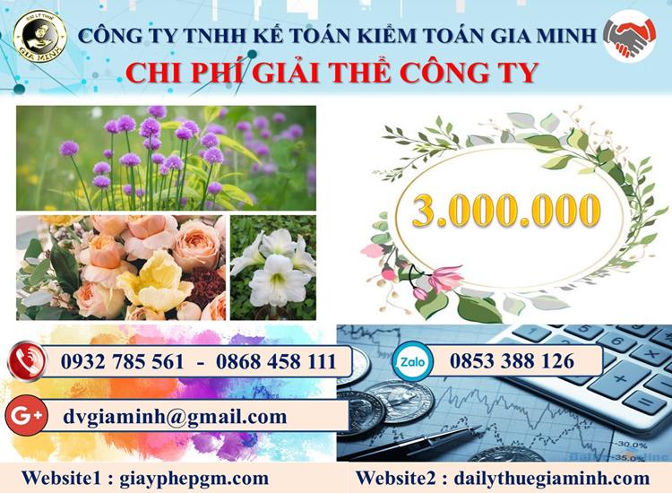 Dịch vụ giải thể công ty uy tín tại Quận Cái Răng - Nhanh chóng và chuyên nghiệp 11 Chi phí giải thể công ty tại Quận Cái Răng