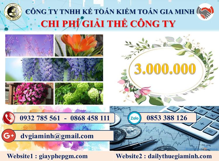 Chi phí giải thể công ty tại Quận Long Biên