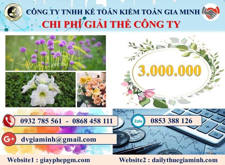 Chi phí giải thể công ty tại Quận Thốt Nốt