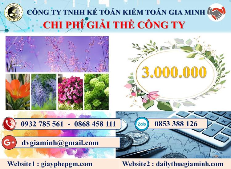 Dịch vụ giải thể công ty tại Thái Bình trọn gói uy tín 5 Chi phí giải thể công ty tại Thái Bình