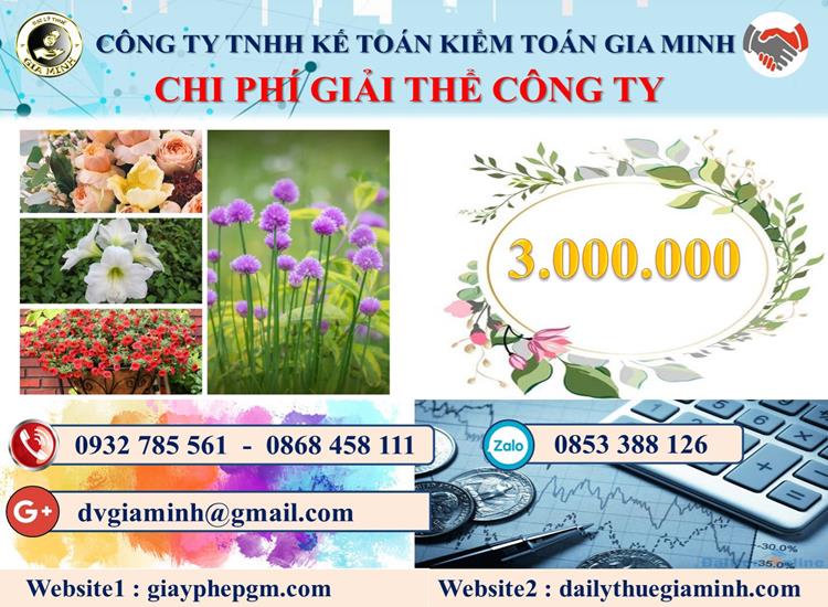 Chi phí giải thể công ty tại Thừa Thiên Huế