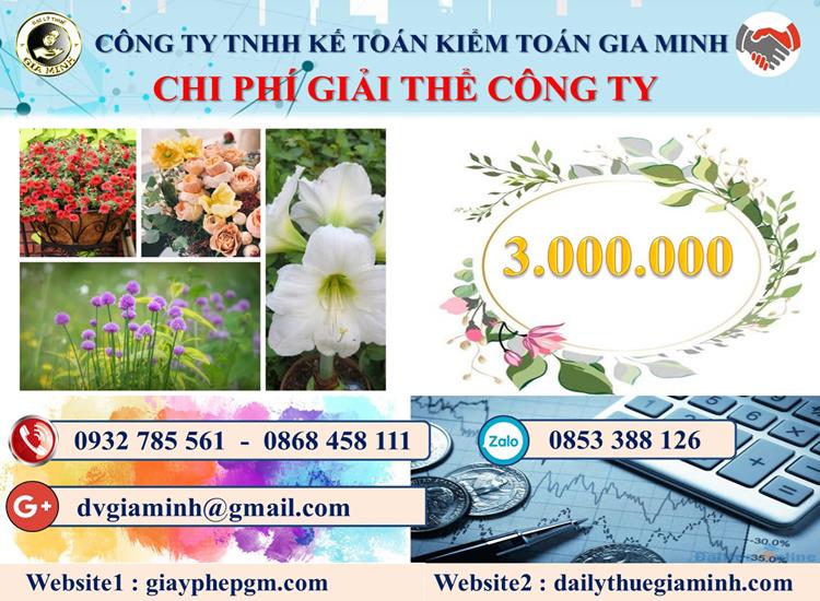 Chi phí giải thể công ty tại Trà Vinh