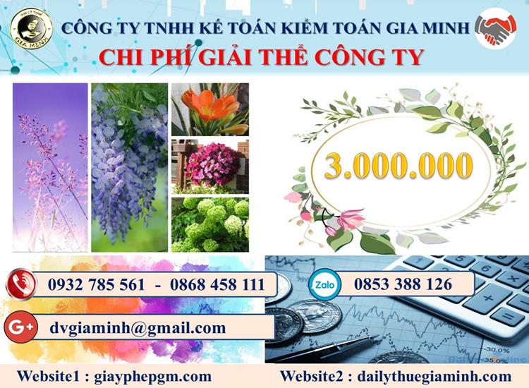 Chi phí giải thể công ty tại Vũng Tàu