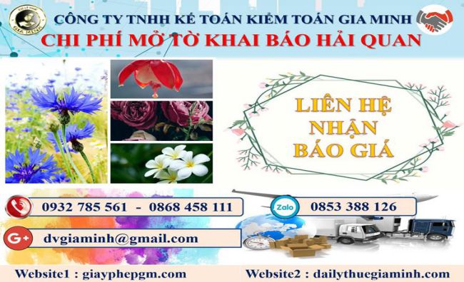 Dịch vụ hải quan giá rẻ tại Huyện Thới Lai 5 Chi phí dịch vụ hải quan giá rẻ Huyện Thới Lai