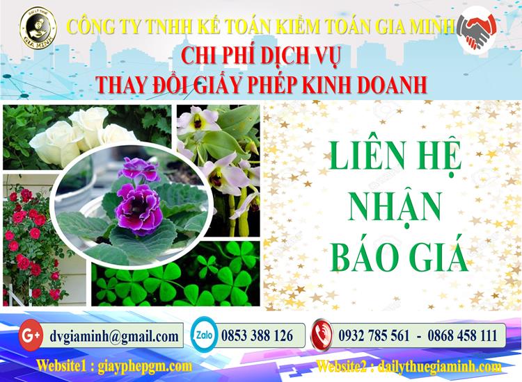 Chi phí thay đổi giấy phép kinh doanh tại Thành Phố Hải Phòng 