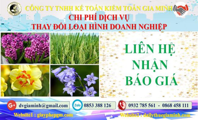 Dịch vụ thay đổi loại hình doanh nghiệp tại Vĩnh Phúc 5 Chi phí thay đổi loại hình doanh nghiệp tại Vĩnh Phúc