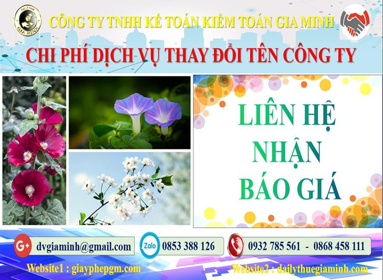 Dịch vụ thay đổi tên công ty tại Quận 8 5 Chi phí thay đổi tên công ty tại Quận 8