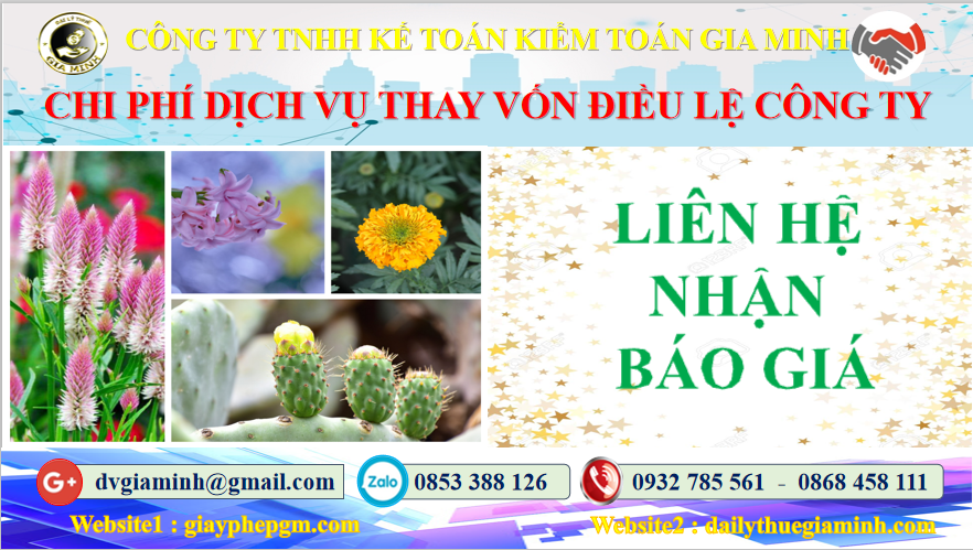 Dịch vụ thay đổi vốn điều lệ công ty tại TPHCM 5 Chi phí thay đổi vốn điều lệ công ty tại TPHCM