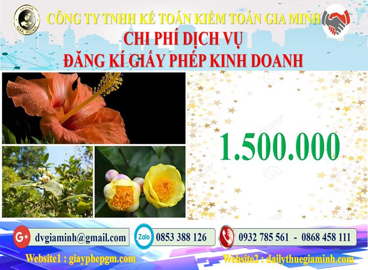 Dịch vụ xin giấy phép kinh doanh gas tại Huyện đảo Cát Hải 5 Chi phí xin giấy phép kinh doanh gas tại Huyện đảo Cát Hải