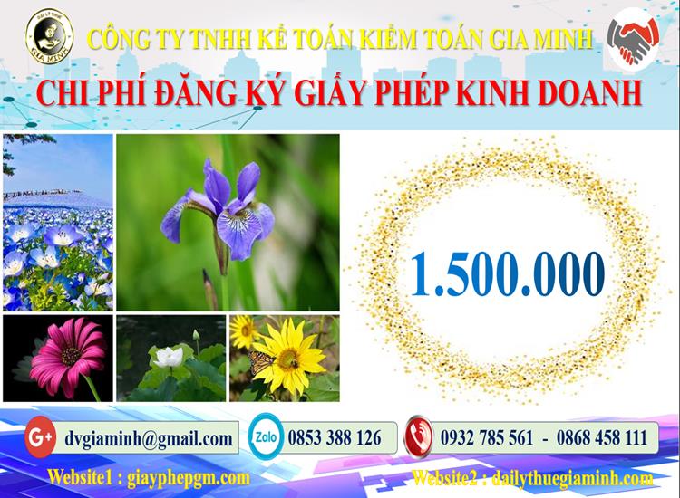 Dịch vụ xin giấy phép kinh doanh gas tại Huyện Hoàng Sa 5 Chi phí xin giấy phép kinh doanh gas tại Huyện Hoàng Sa