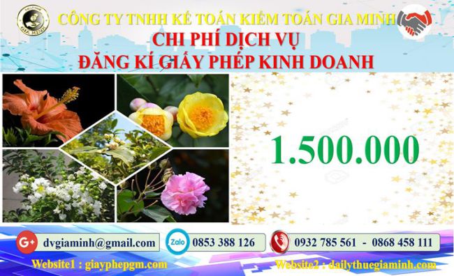 Dịch vụ xin giấy phép kinh doanh gas tại Quận Cẩm Lệ 5 Chi phí xin giấy phép kinh doanh gas tại Quận Cẩm Lệ