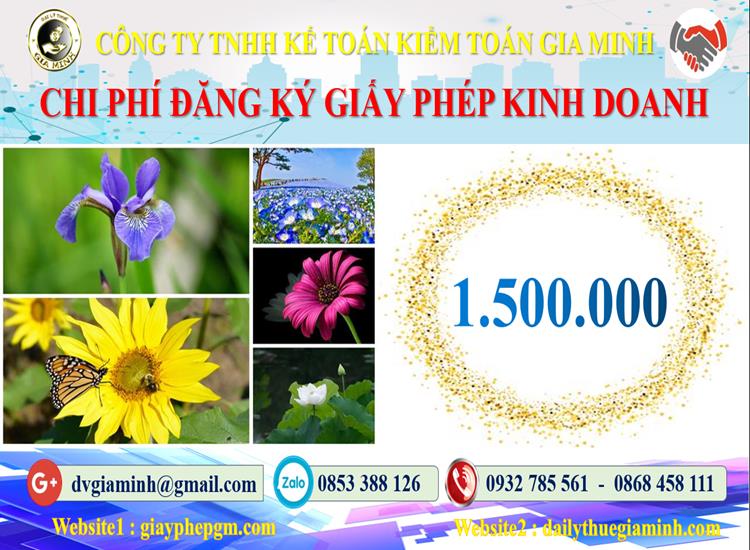 Dịch vụ xin giấy phép kinh doanh gas tại Quận Đồ Sơn 5 Chi phí xin giấy phép kinh doanh gas tại Quận Đồ Sơn