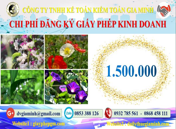Dịch vụ xin giấy phép kinh doanh gas tại Quận Kiến An 5 Chi phí xin giấy phép kinh doanh gas tại Quận Kiến An