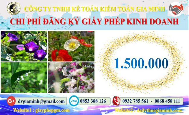 Dịch vụ xin giấy phép kinh doanh gas tại Quận Ô Môn 5 Chi phí xin giấy phép kinh doanh gas tại Quận Ô Môn