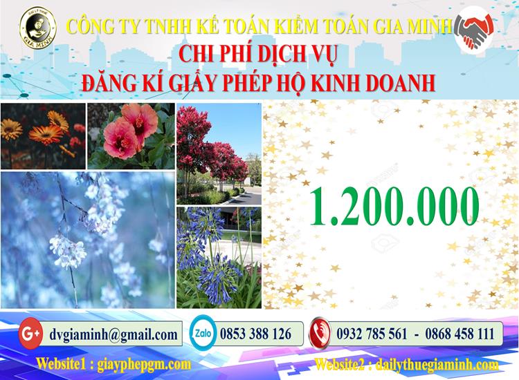 Hộ kinh doanh tại Quận Tân Bình 5 Bảng giá thành lập hộ kinh doanh tại Quận Tân Bình