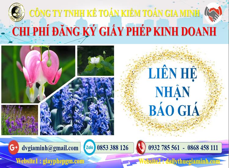 Chi phí thành lập công ty tại Huyện Mỹ Đức