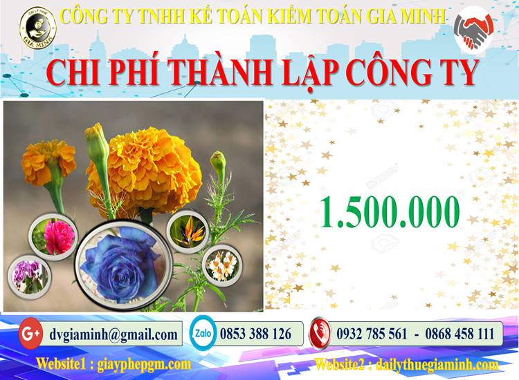 Chi phí thành lập công ty bảo vệ tại Gia Lai