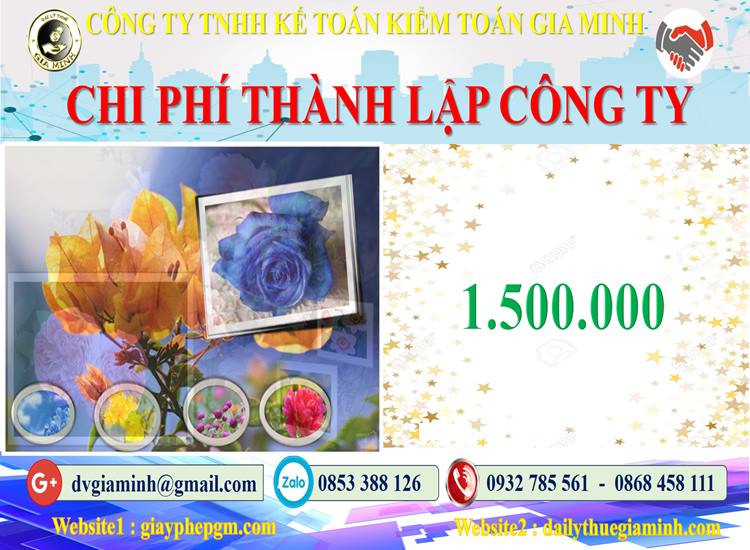 Chi phí thành lập công ty bảo vệ tại Hải Phòng