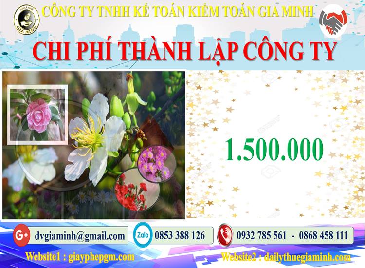Chi phí thành lập công ty bảo vệ tại Huyện Mỹ Đức