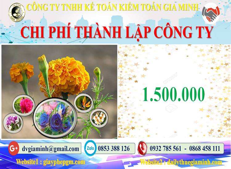 Chi phí thành lập công ty bảo vệ tại Huyện Thường Tín